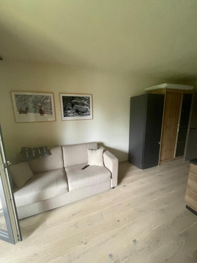 Apartman Pod Jasanem Hojsova Straz Brcalnik Διαμέρισμα Železná Ruda Εξωτερικό φωτογραφία