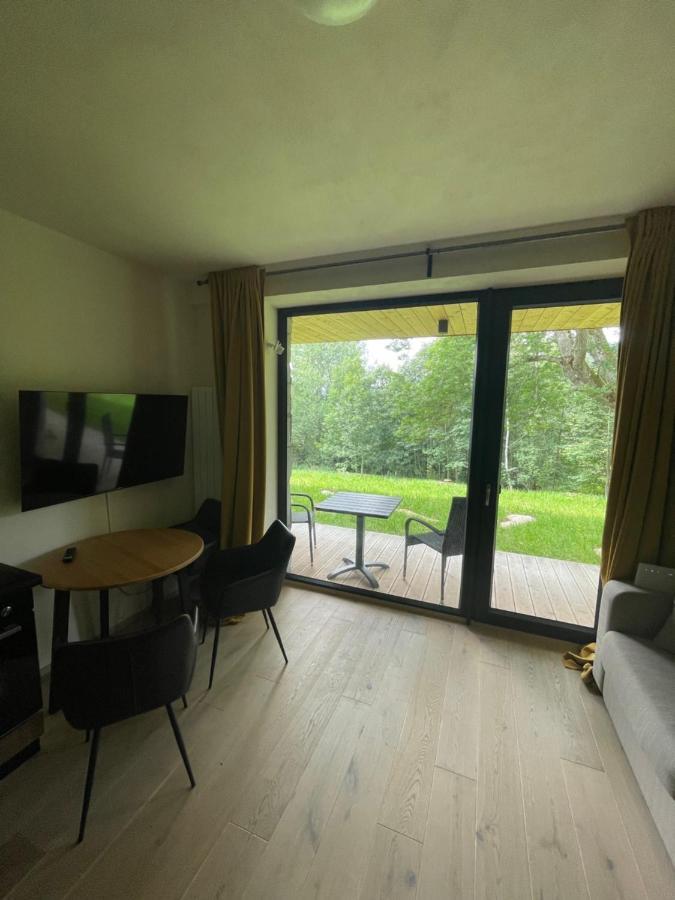 Apartman Pod Jasanem Hojsova Straz Brcalnik Διαμέρισμα Železná Ruda Εξωτερικό φωτογραφία