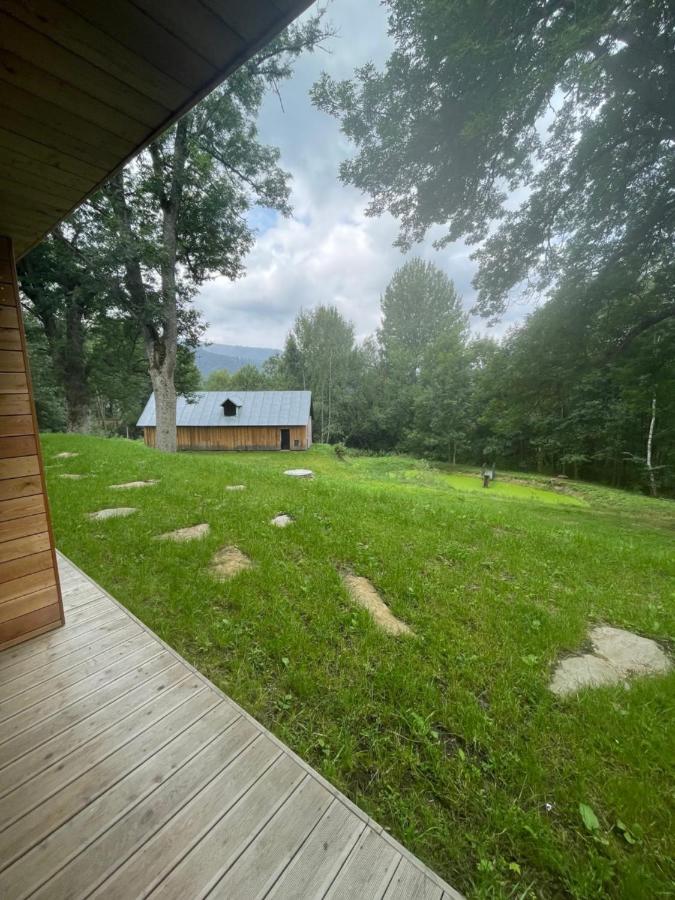 Apartman Pod Jasanem Hojsova Straz Brcalnik Διαμέρισμα Železná Ruda Εξωτερικό φωτογραφία