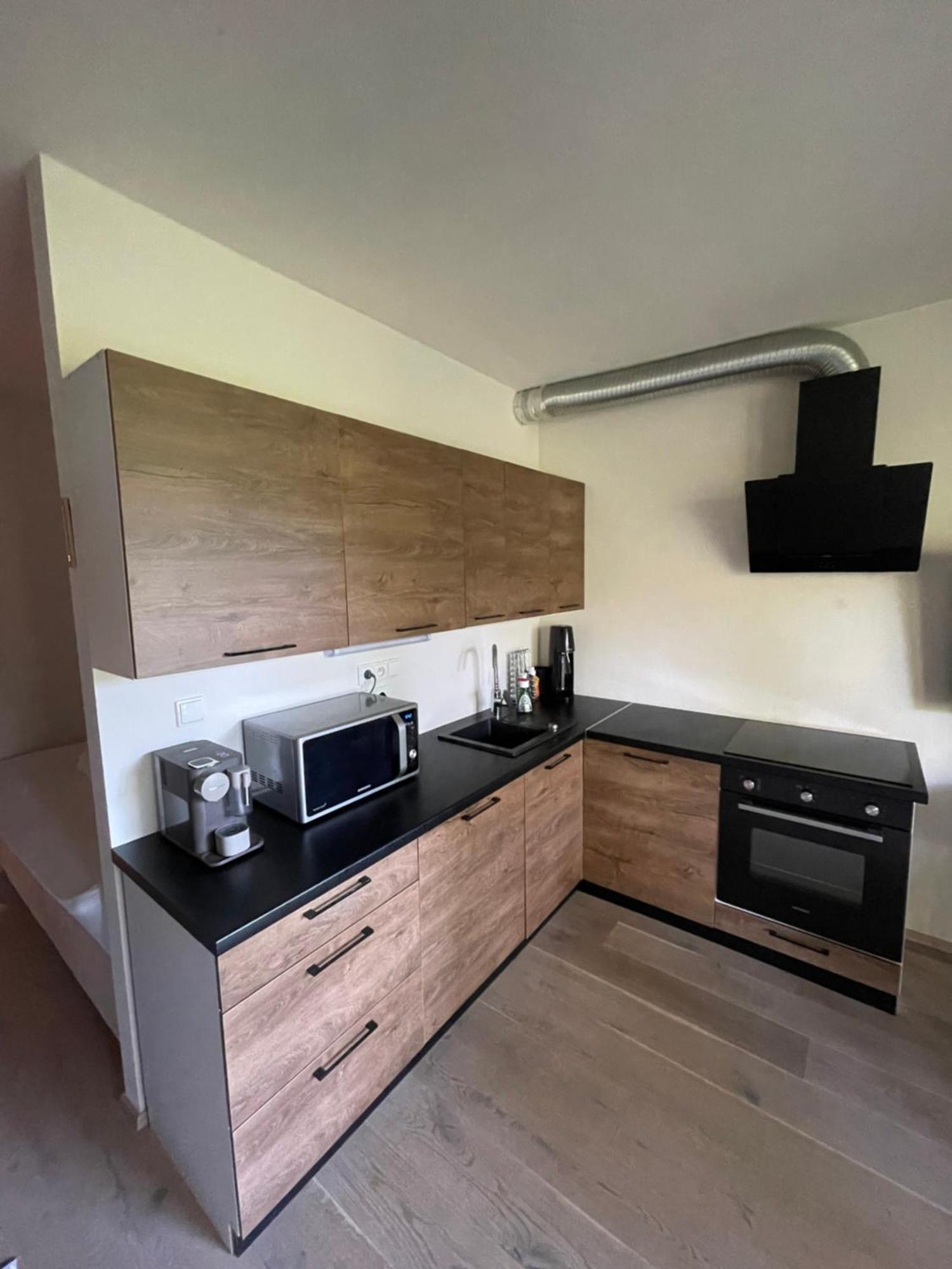 Apartman Pod Jasanem Hojsova Straz Brcalnik Διαμέρισμα Železná Ruda Εξωτερικό φωτογραφία